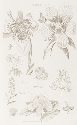 Lot 98 - Miller (Philip and Thomas Martyn). The Gardener's and Botanist's Dictionary, 1807