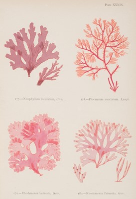 Lot 86 - Gatty (Mrs Alfred). British Sea-Weeds, 1872