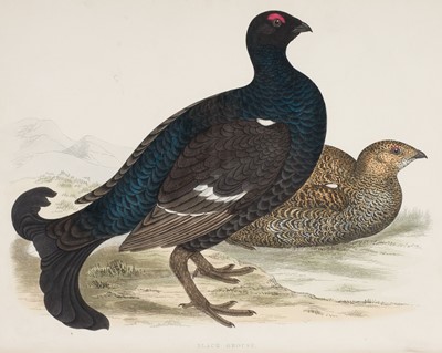 Lot 99 - Morris (Beverley Robinson). British Game Birds and Wildfowl, 1855