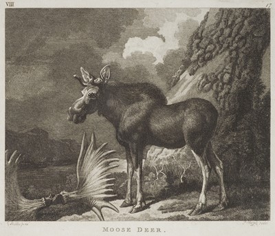 Lot 144 - Pennant (Thomas). Arctic Zoology, 2 volumes, 1st edition, 1784-1785
