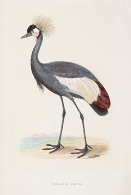 Lot 126 - Bree (Charles Robert). A History of the Birds of Europe, 1863-1864