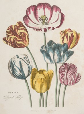 Lot 131 - Green (Thomas). A collection of botanical plates from The Universal Herbal, [1816-23]