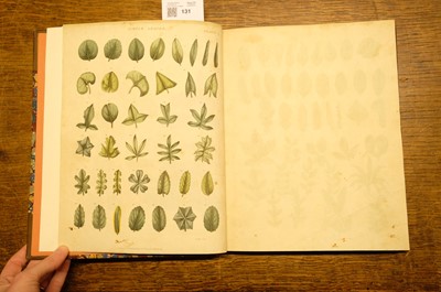 Lot 131 - Green (Thomas). A collection of botanical plates from The Universal Herbal, [1816-23]