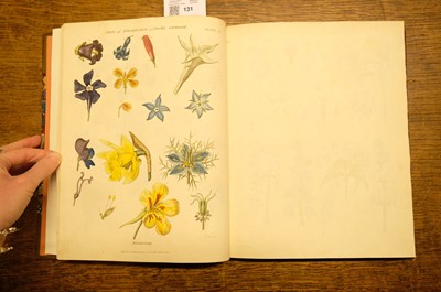 Lot 131 - Green (Thomas). A collection of botanical plates from The Universal Herbal, [1816-23]
