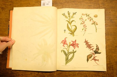 Lot 131 - Green (Thomas). A collection of botanical plates from The Universal Herbal, [1816-23]