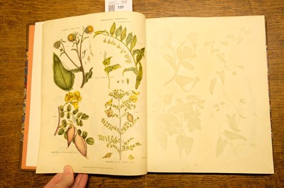 Lot 131 - Green (Thomas). A collection of botanical plates from The Universal Herbal, [1816-23]