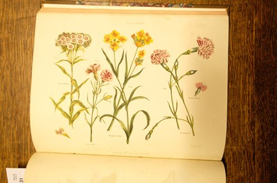 Lot 131 - Green (Thomas). A collection of botanical plates from The Universal Herbal, [1816-23]