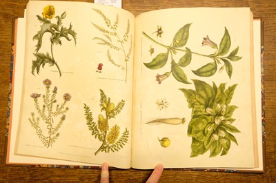 Lot 131 - Green (Thomas). A collection of botanical plates from The Universal Herbal, [1816-23]