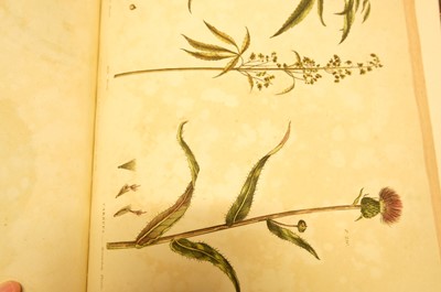 Lot 131 - Green (Thomas). A collection of botanical plates from The Universal Herbal, [1816-23]