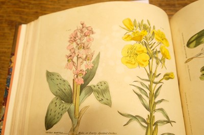 Lot 131 - Green (Thomas). A collection of botanical plates from The Universal Herbal, [1816-23]