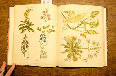 Lot 131 - Green (Thomas). A collection of botanical plates from The Universal Herbal, [1816-23]