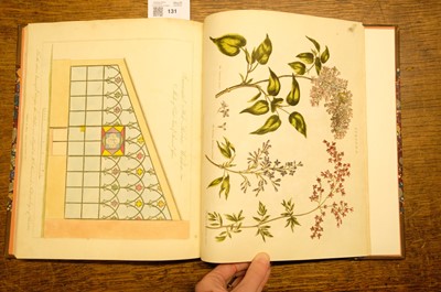 Lot 131 - Green (Thomas). A collection of botanical plates from The Universal Herbal, [1816-23]