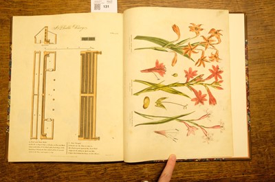 Lot 131 - Green (Thomas). A collection of botanical plates from The Universal Herbal, [1816-23]