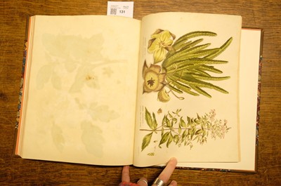 Lot 131 - Green (Thomas). A collection of botanical plates from The Universal Herbal, [1816-23]
