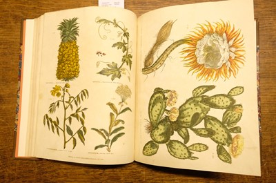 Lot 131 - Green (Thomas). A collection of botanical plates from The Universal Herbal, [1816-23]