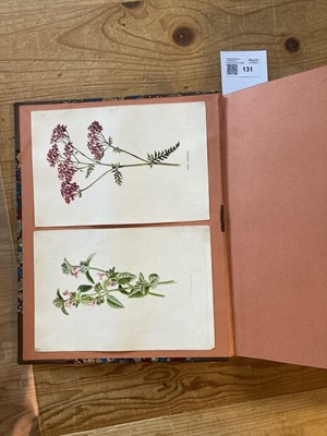 Lot 131 - Green (Thomas). A collection of botanical plates from The Universal Herbal, [1816-23]