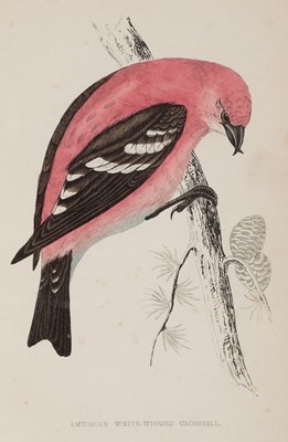 Lot 140 - Morris (F. O.) A History of British Birds, 8 vols, circa 1880