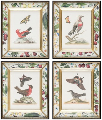 Lot 244 - Edwards (George). A collection of 15 engravings, circa 1760
