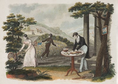 Lot 125 - Balland (Eugene Amedee). Les Papillons, 1825