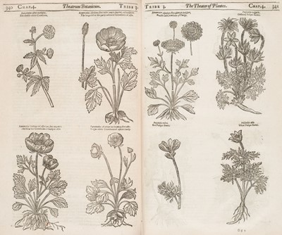 Lot 143 - Oarkinson )John). Theatrum Botanicum, 1st edition, 1640