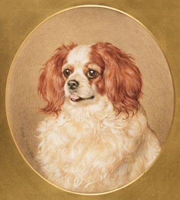 Lot 107 - Paton (Frank, 1855-1909). King Charles Spaniel, 1896, watercolour