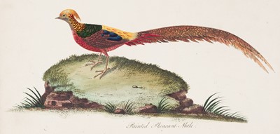 Lot 283 - Prints & engravings. A collection of approximately 200 prints, mostly 19th-century