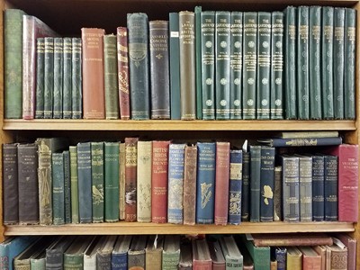 Lot 461 - Natural History. A collection of late 19th & early 20th-Century natural history reference
