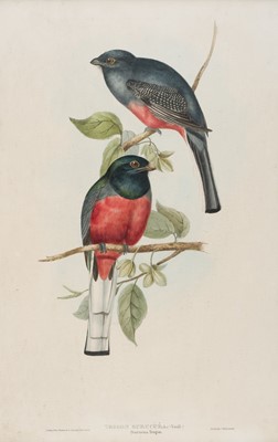 Lot 262 - Gould (John & Elizabeth). Three lithographs of Trogons, [1858 - 75]