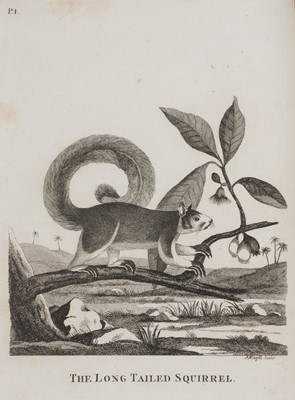 Lot 145 - Pennant (Thomas). Indian Zoology, 2nd edition, 1790 [1791]