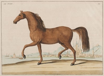 Lot 266 - Horses. Picart (Bernard), A collection of seven engravings, circa 1728