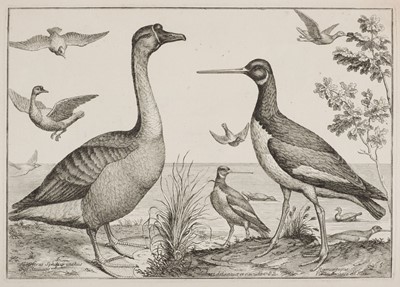 Lot 290 - Robert (Nicolas). A collection of 21 engravings of birds, 1676 [but 18th-century re-issue]