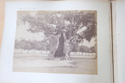 Lot 47 - Turkey & Greece. An album containing approximately 60 photographs, c. 1890s