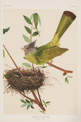 Lot 124 - Baker (E. C. Stuart). The Fauna of British India, including Ceylon and Burma, 8 volumes, 2nd edition, London: Taylor and Francis, 1922-30