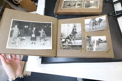 Lot 14 - European Photography. A group of 12 photograph albums, late 19th & early 20th century