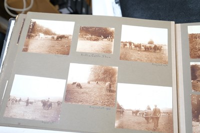 Lot 14 - European Photography. A group of 12 photograph albums, late 19th & early 20th century