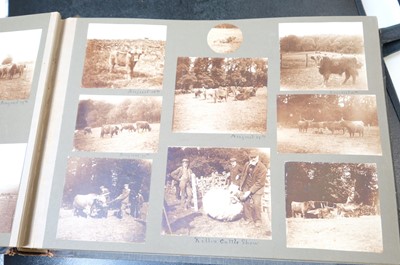 Lot 14 - European Photography. A group of 12 photograph albums, late 19th & early 20th century