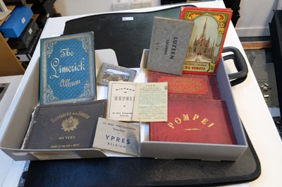 Lot 14 - European Photography. A group of 12 photograph albums, late 19th & early 20th century