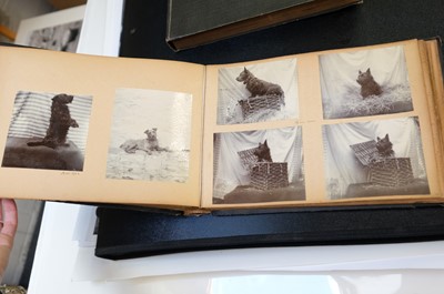 Lot 14 - European Photography. A group of 12 photograph albums, late 19th & early 20th century