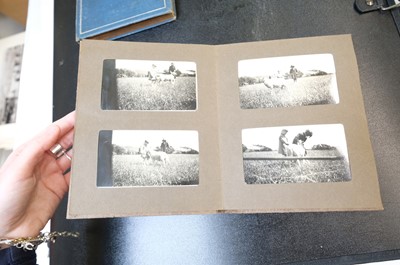 Lot 14 - European Photography. A group of 12 photograph albums, late 19th & early 20th century