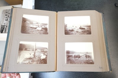 Lot 14 - European Photography. A group of 12 photograph albums, late 19th & early 20th century