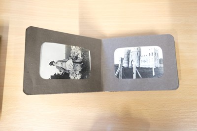 Lot 17 - Great Britain & Europe. A collection of 16 photograph albums, late 19th/20th c.