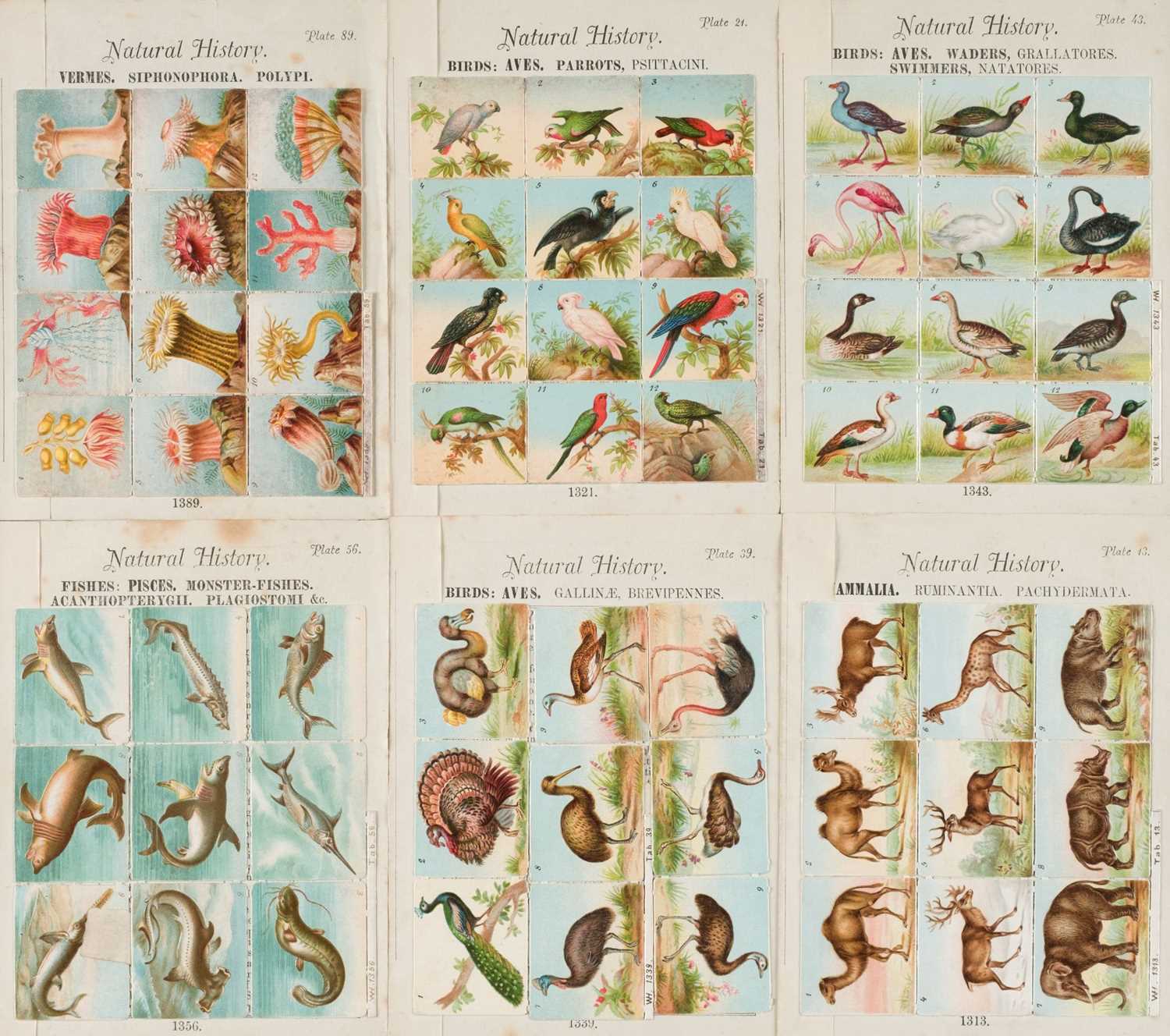 Lot 516 - Children's Scrap Album Stickers. Faithful illustrations of the animal world, circa 1887