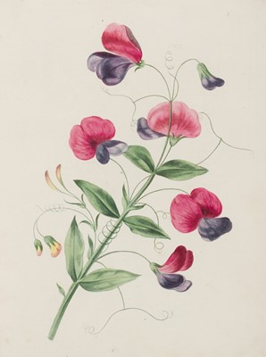 Lot 295 - Brookshaw (George). A New Treatise on Flower Painting, or every lady her own drawing master, 1818