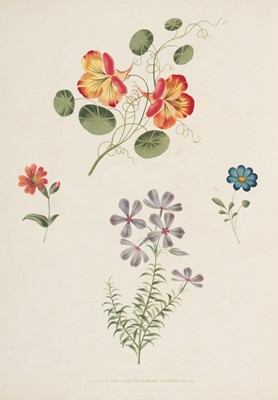 Lot 294 - Brookshaw (George). A New Treatise on Flower Painting, or Every lady her Own Drawing Master, 1816
