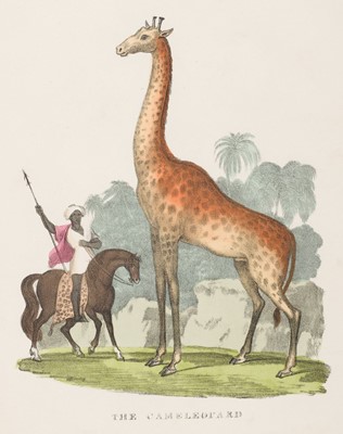 Lot 373 - Whittock (Nathaniel). The Art of Drawing and Colouring, from Nature, Birds, 1830