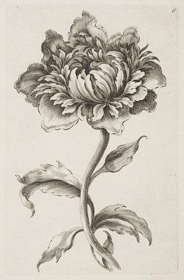 Lot 366 - Tijou (M.). A New Book of Flowers. By M. Tijou, [circa 1775]