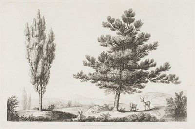Lot 332 - Laporte (John). [Progressive Lessons in Landscape, in Imitation of Pencil Drawing]