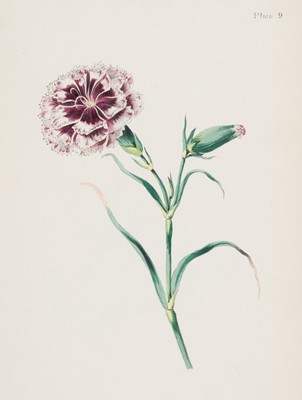 Lot 286 - Andrews (James). Progressive Drawing-Book of Flowers, for Beginners, [circa 1835]