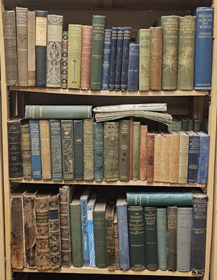 Lot 443 - Natural History. A collection of 19th & early 20th-Century natural history reference