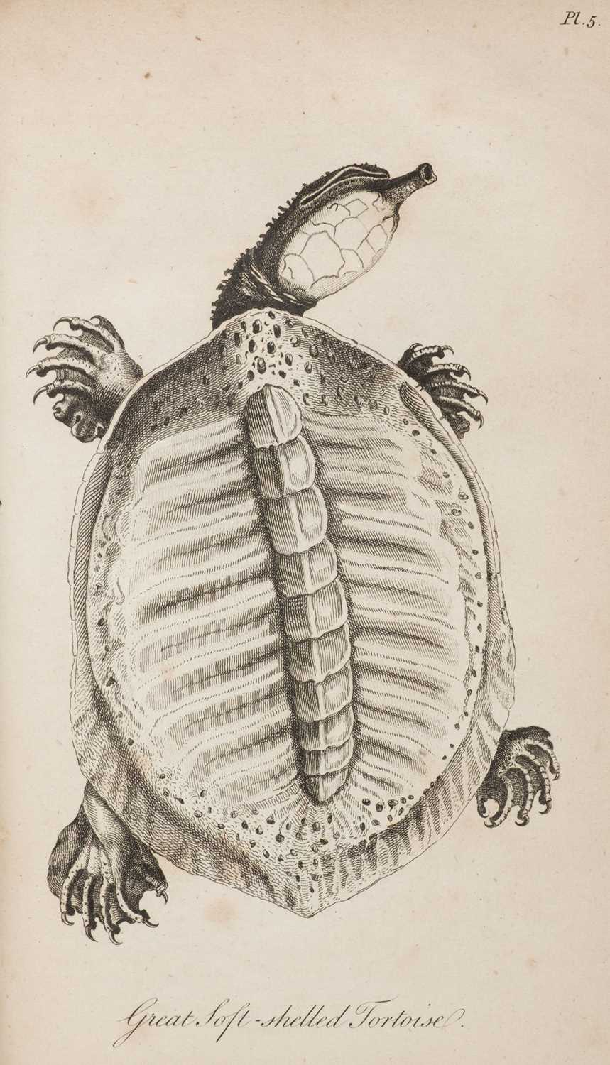 Lot 4 - Bartram (William). Travels Through North and South Carolina, Georgia, 1st London Edition, 1792